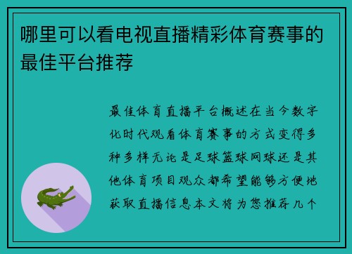 哪里可以看电视直播精彩体育赛事的最佳平台推荐