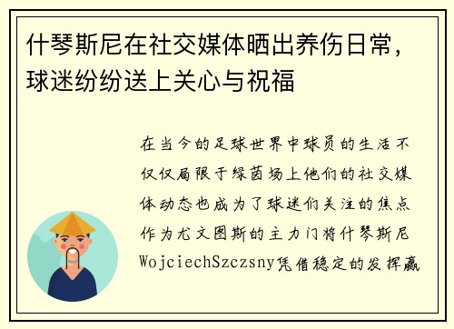 什琴斯尼在社交媒体晒出养伤日常，球迷纷纷送上关心与祝福