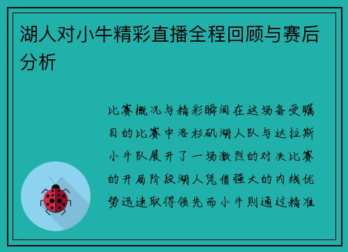 湖人对小牛精彩直播全程回顾与赛后分析